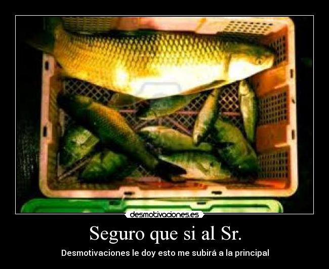 Seguro que si al Sr. -