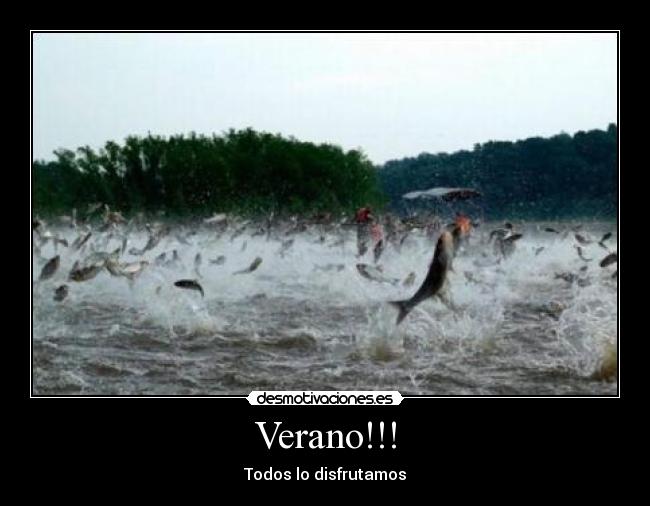 Verano!!! - Todos lo disfrutamos