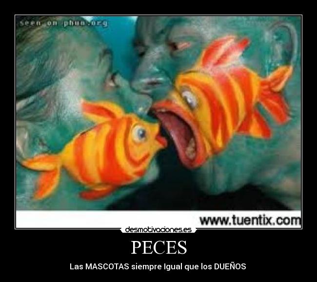 PECES - Las MASCOTAS siempre Igual que los DUEÑOS 