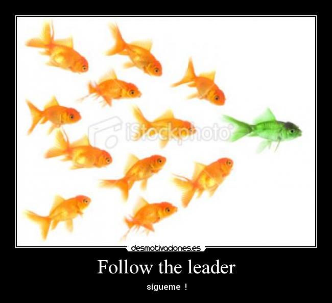 carteles follow the leader sigueme sigueme peces verde naranja  stockphoto desmotivaciones