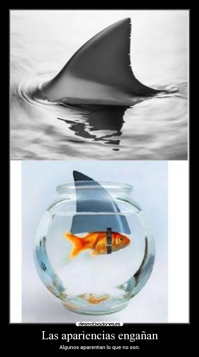Las apariencias engañan -