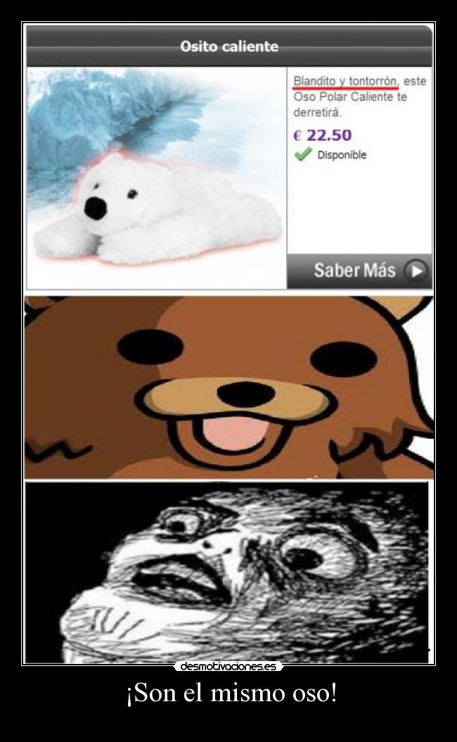 ¡Son el mismo oso! -