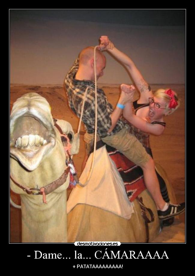 - Dame... la... CÁMARAAAA -