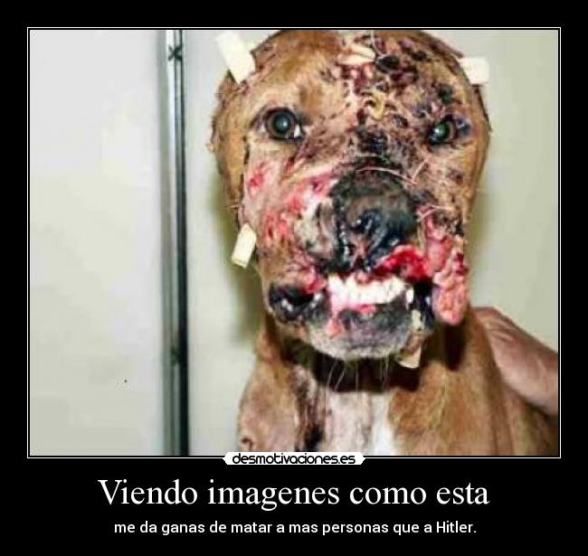 Viendo imagenes como esta - 