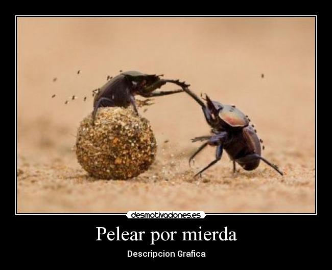 Pelear por mierda - 