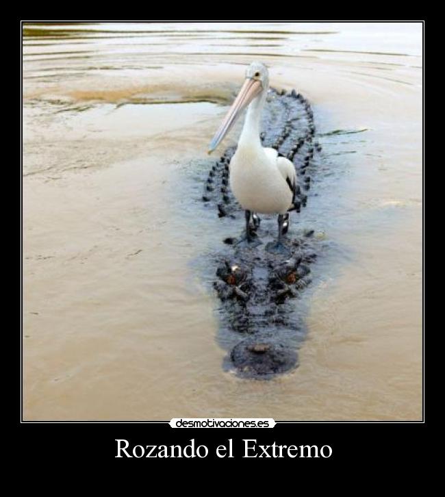 Rozando el Extremo -