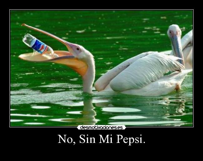 No, Sin Mi Pepsi. -