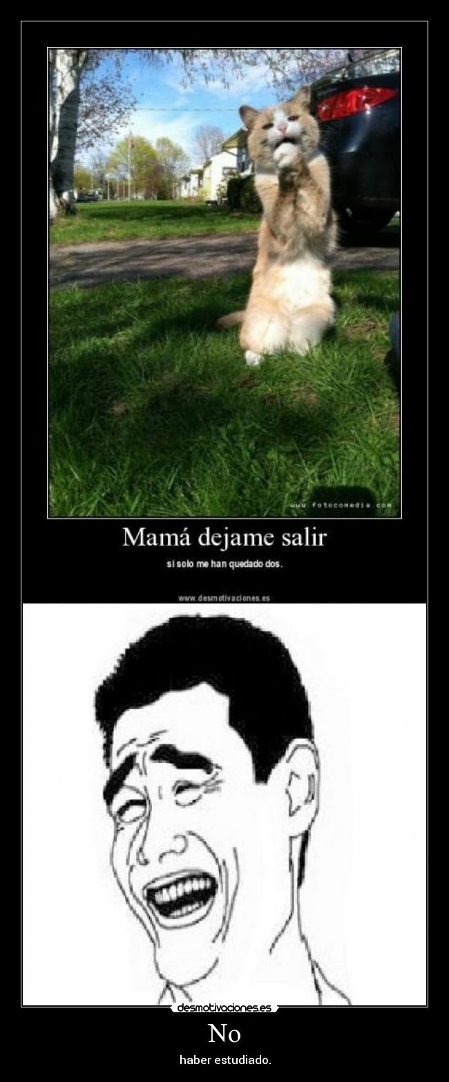No - haber estudiado.