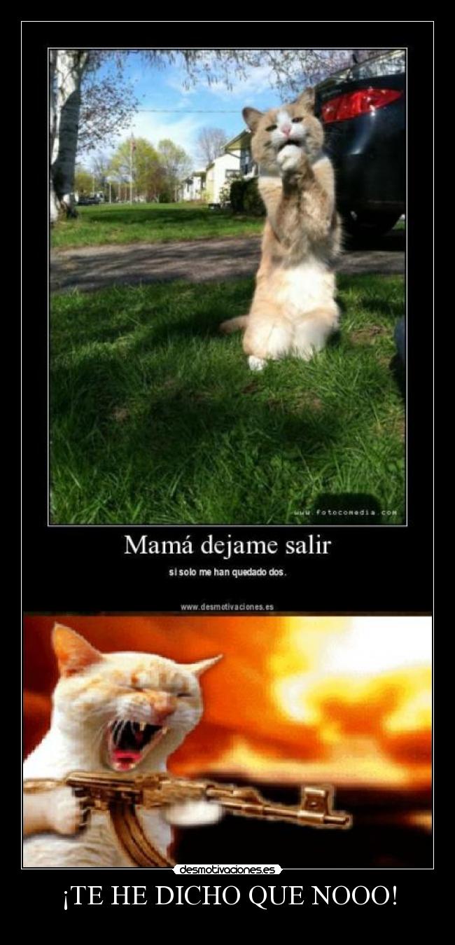 ¡TE HE DICHO QUE NOOO! -