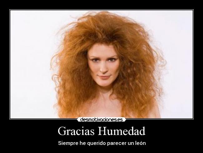 Gracias Humedad - 