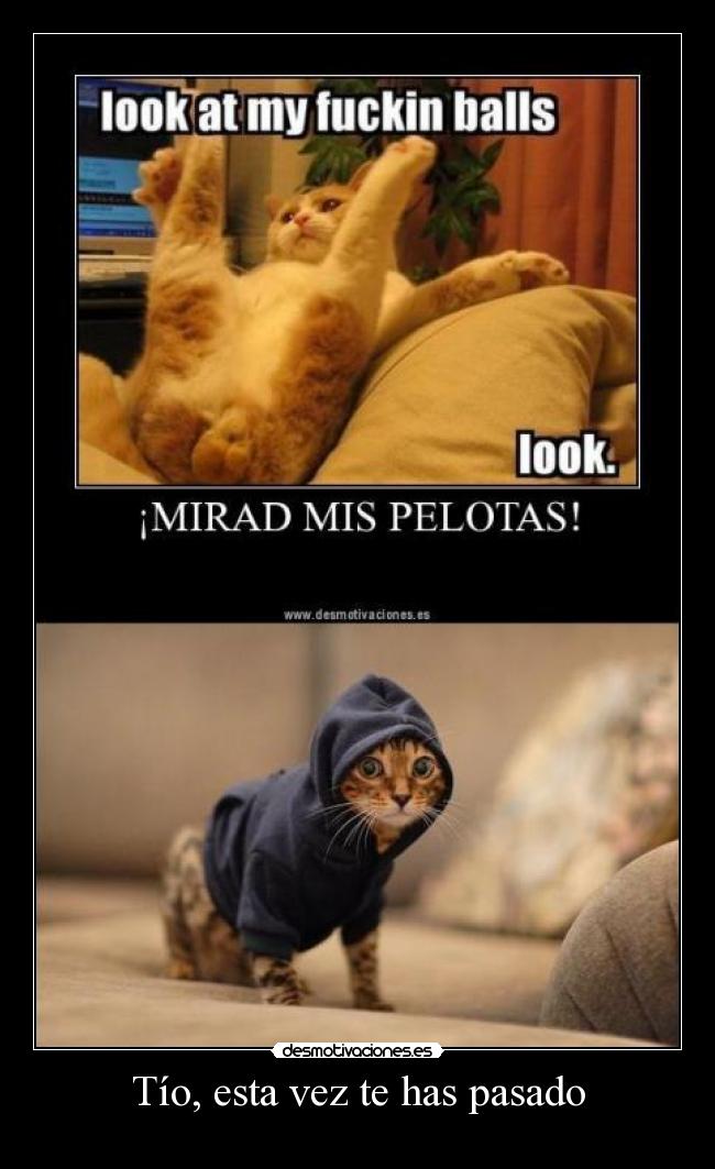 Tío, esta vez te has pasado -