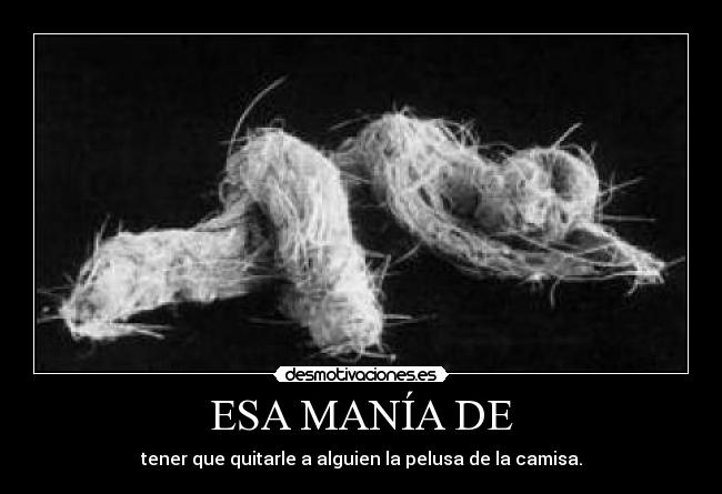 carteles gfdgfd desmotivaciones