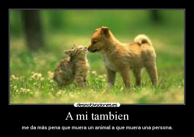 A mi tambien - me da más pena que muera un animal a que muera una persona.