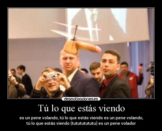 Tú lo que estás viendo - es un pene volando, tú lo que estás viendo es un pene volando,
tú lo que estás viendo (tutututututu) es un pene volador