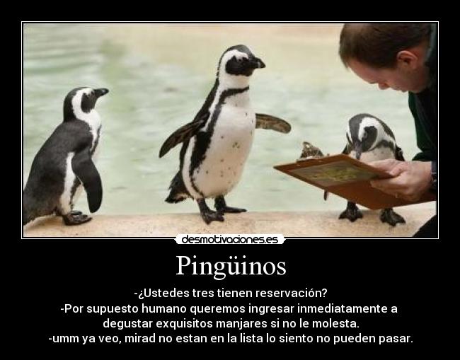 Pingüinos - -¿Ustedes tres tienen reservación?
-Por supuesto humano queremos ingresar inmediatamente a 
degustar exquisitos manjares si no le molesta.
-umm ya veo, mirad no estan en la lista lo siento no pueden pasar.