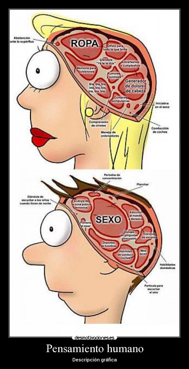 Pensamiento humano - Descripción gráfica