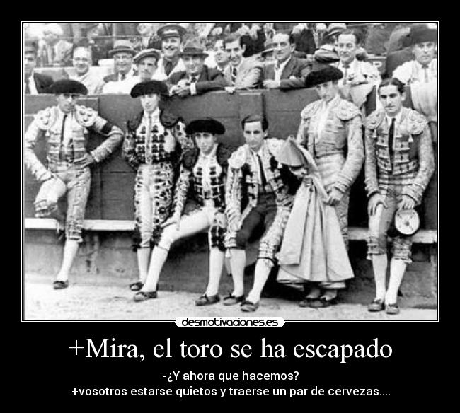 +Mira, el toro se ha escapado - -¿Y ahora que hacemos?
+vosotros estarse quietos y traerse un par de cervezas....