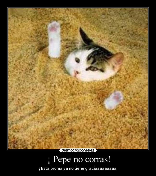 ¡ Pepe no corras! - 