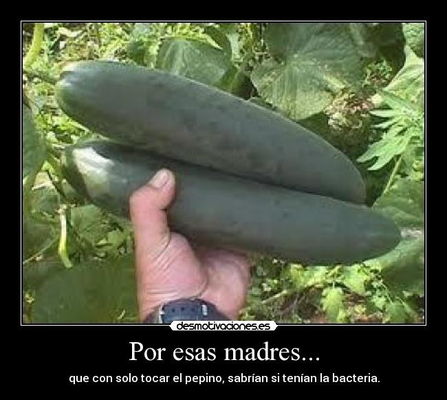 Por esas madres... - 