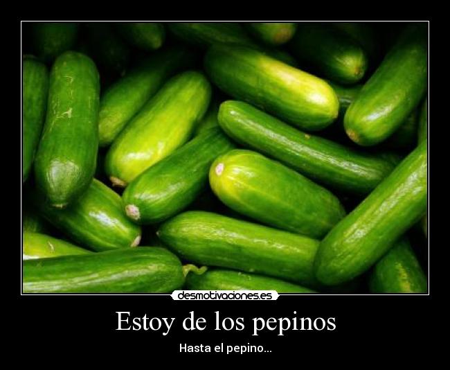 Estoy de los pepinos - 