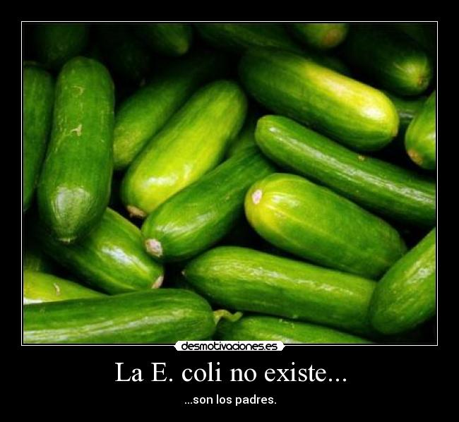 La E. coli no existe... - 