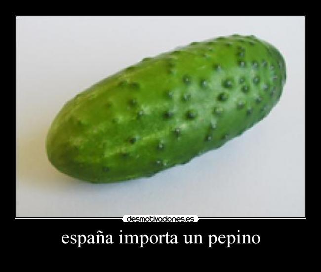 españa importa un pepino -