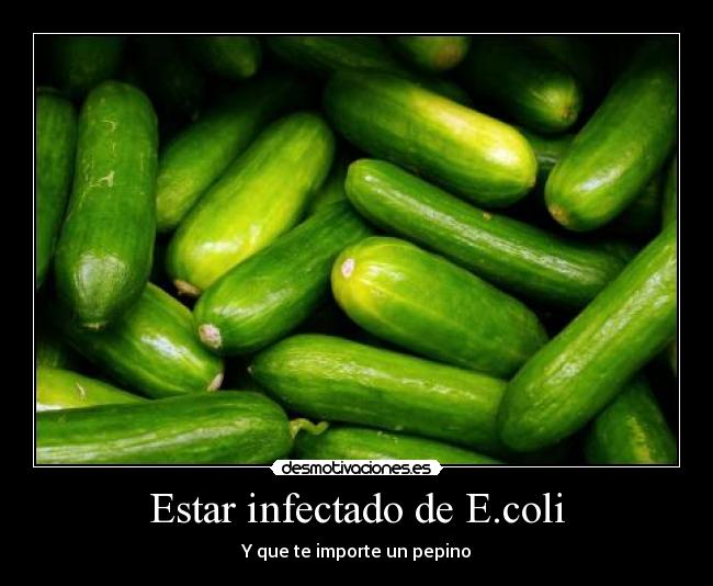 Estar infectado de E.coli - 