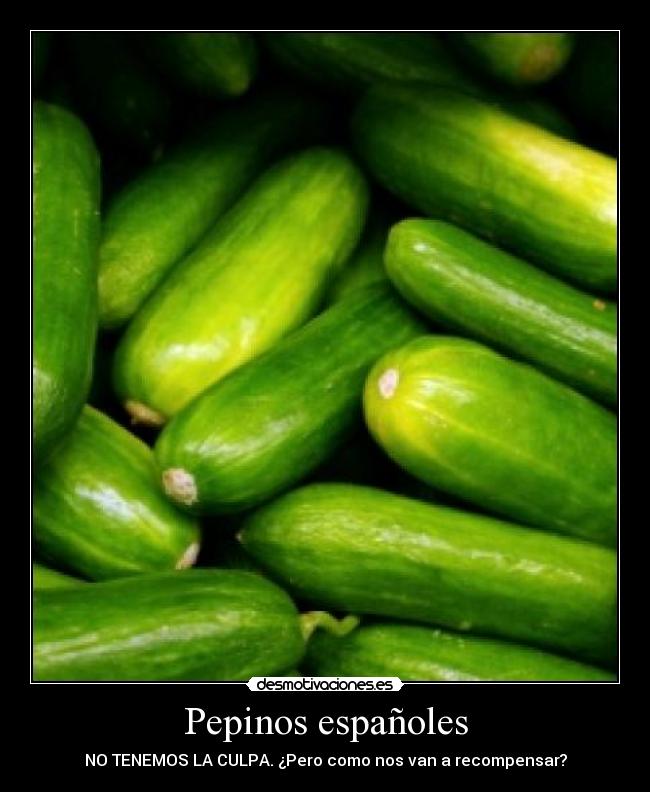 Pepinos españoles - NO TENEMOS LA CULPA. ¿Pero como nos van a recompensar?