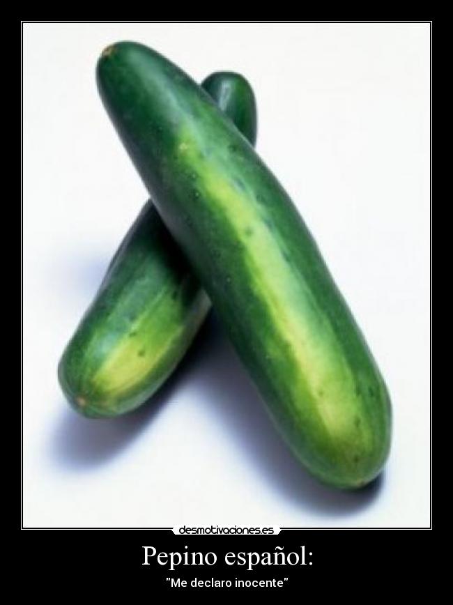 Pepino español: - Me declaro inocente