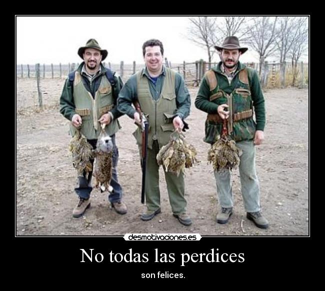 No todas las perdices - son felices.