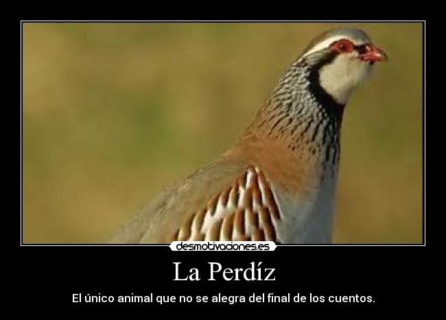 La Perdíz - 