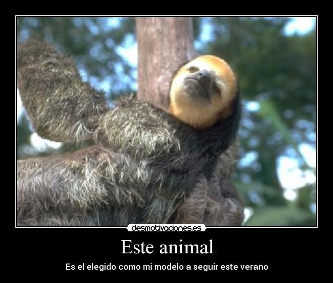 Este animal - 