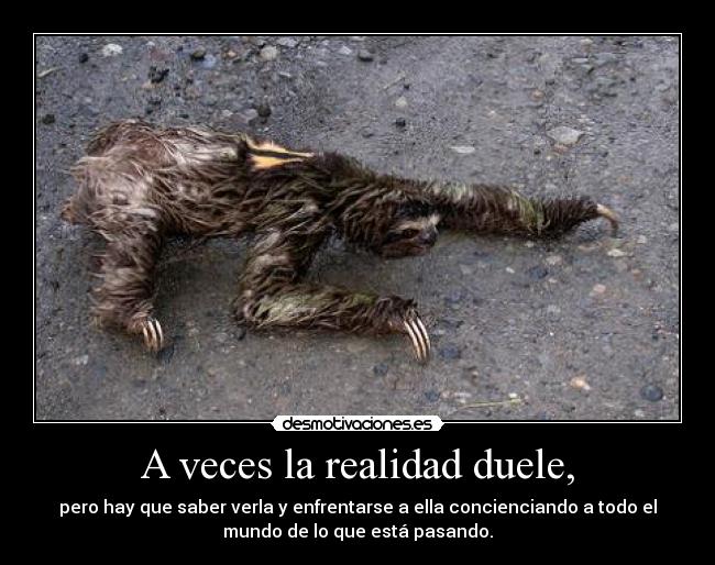 A veces la realidad duele, - pero hay que saber verla y enfrentarse a ella concienciando a todo el
mundo de lo que está pasando.