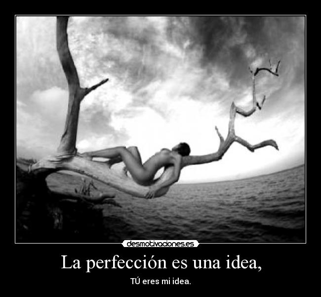 La perfección es una idea, - 