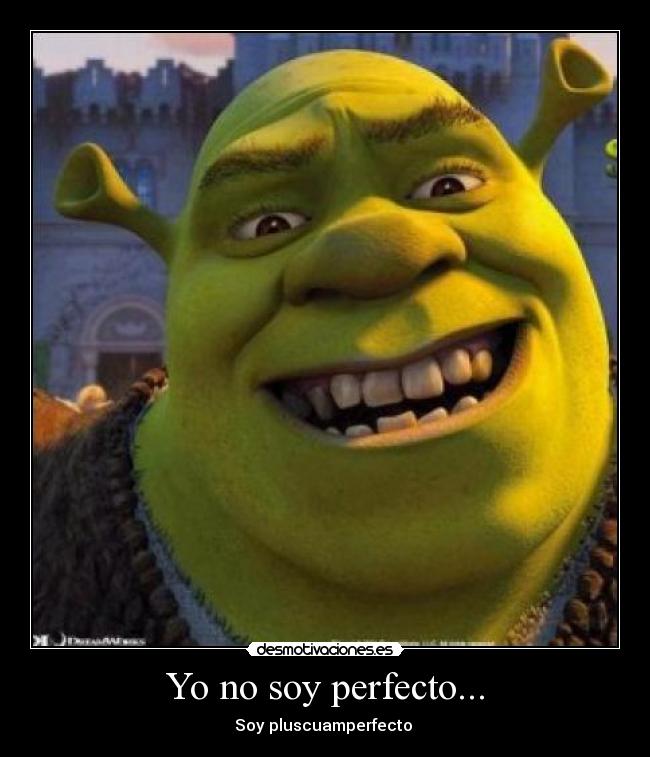 Yo no soy perfecto... -