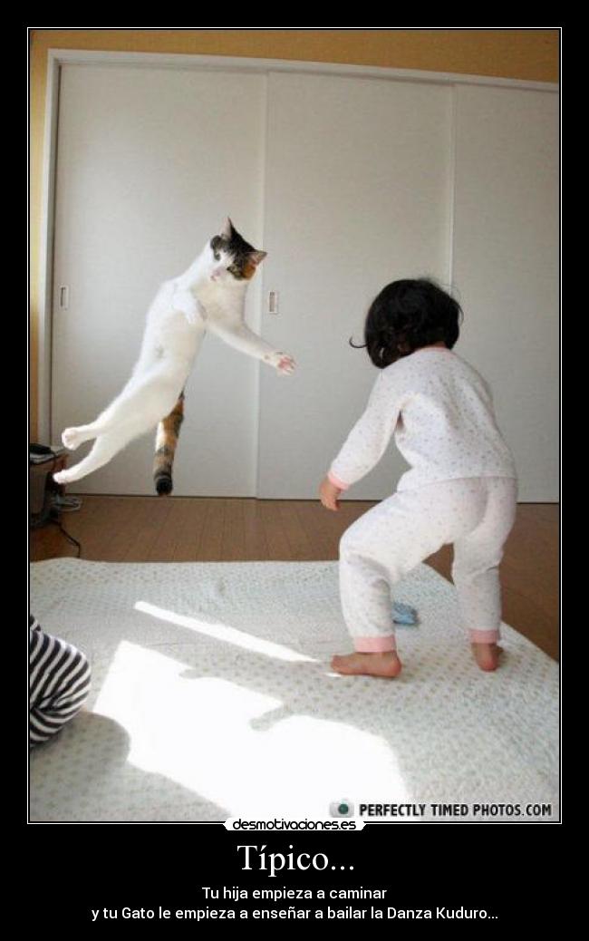 Típico... - Tu hija empieza a caminar
y tu Gato le empieza a enseñar a bailar la Danza Kuduro...