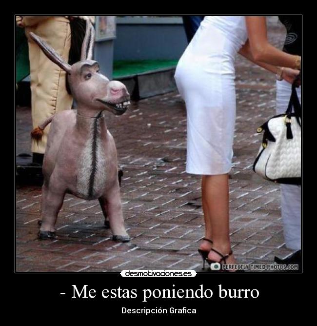 - Me estas poniendo burro -