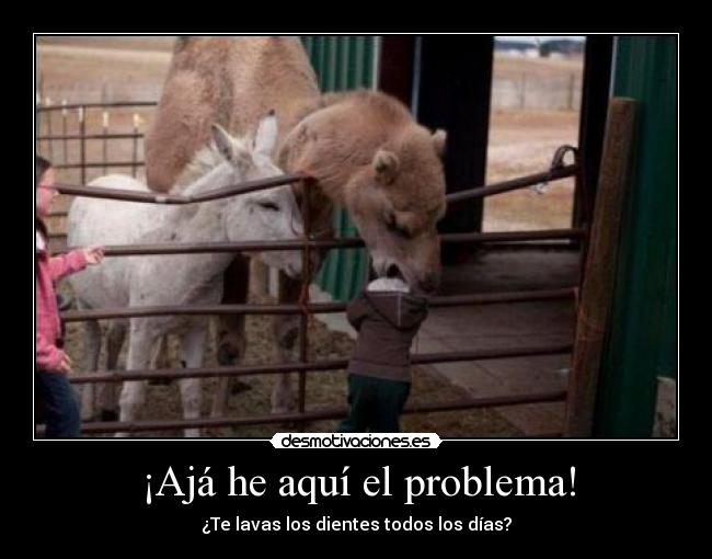 ¡Ajá he aquí el problema! -