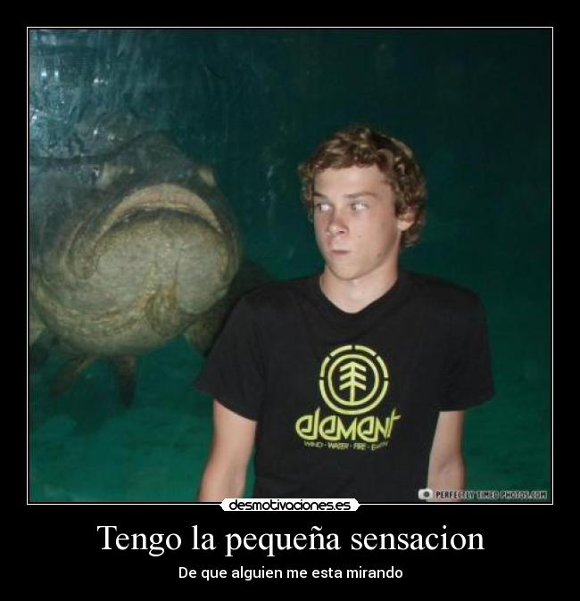 Tengo la pequeña sensacion -