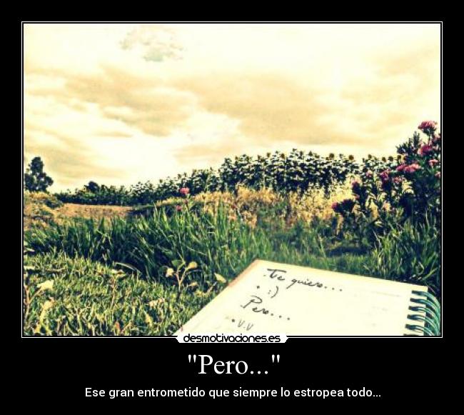 Pero... - Ese gran entrometido que siempre lo estropea todo...