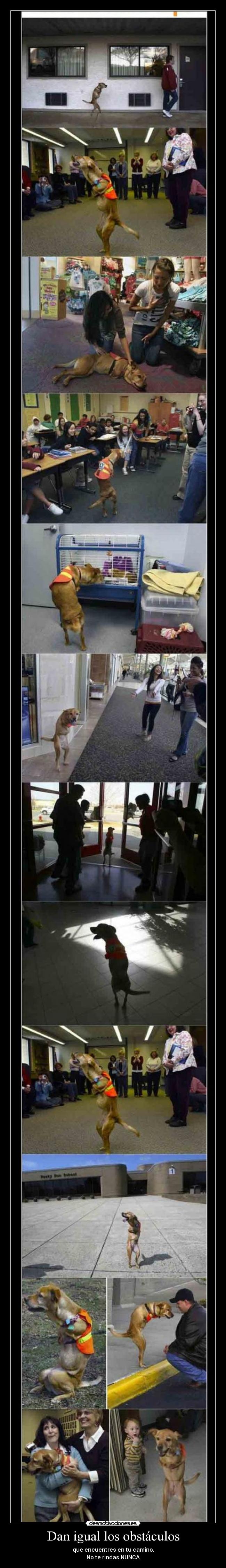 Dan igual los obstáculos -