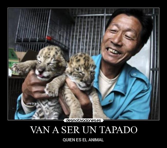 VAN A SER UN TAPADO - QUIEN ES EL ANIMAL