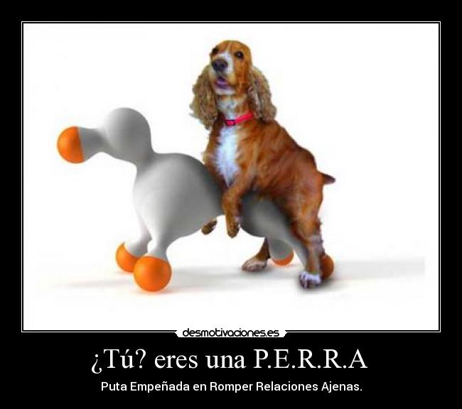 ¿Tú? eres una P.E.R.R.A - Puta Empeñada en Romper Relaciones Ajenas.