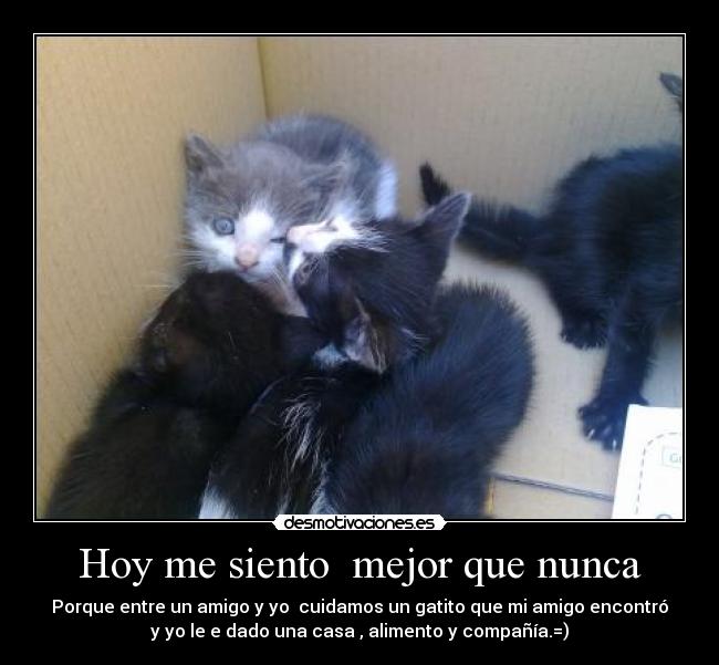 Hoy me siento mejor que nunca -