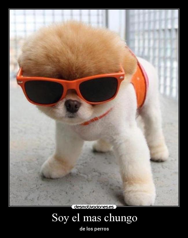 Soy el mas chungo - 