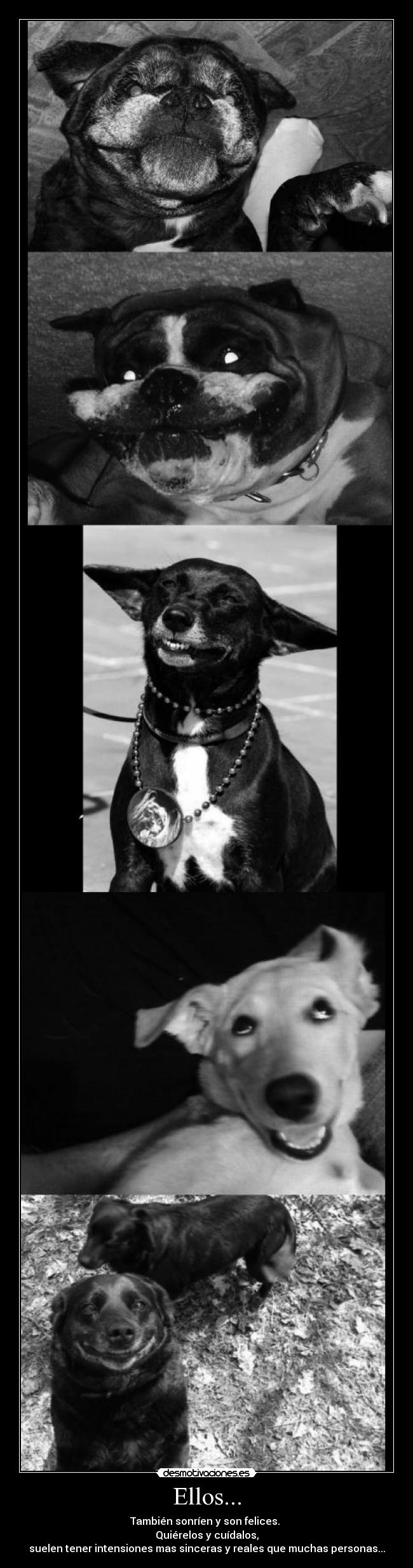 Ellos... - También sonríen y son felices.
Quiérelos y cuídalos,
suelen tener intensiones mas sinceras y reales que muchas personas...