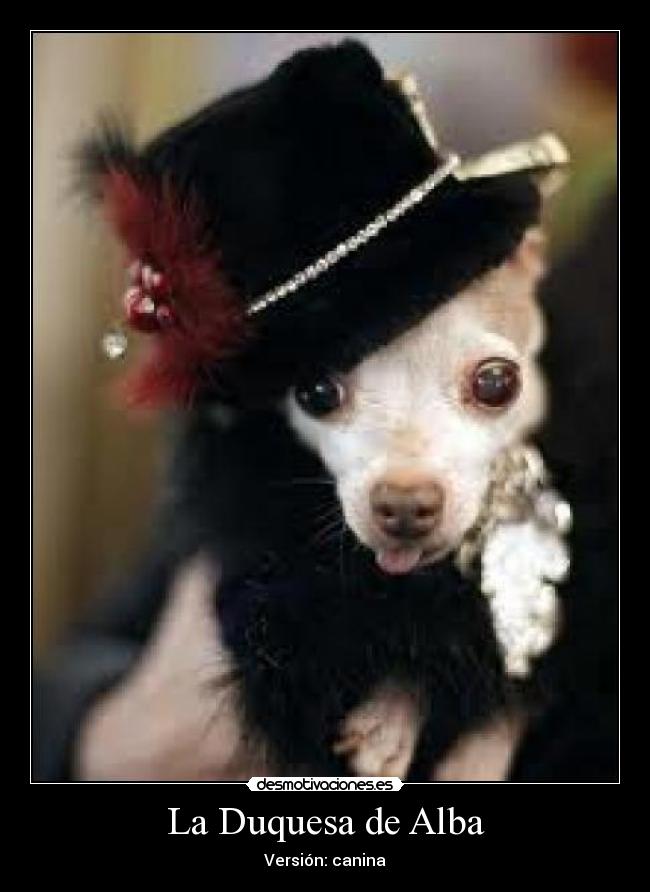 La Duquesa de Alba - Versión: canina