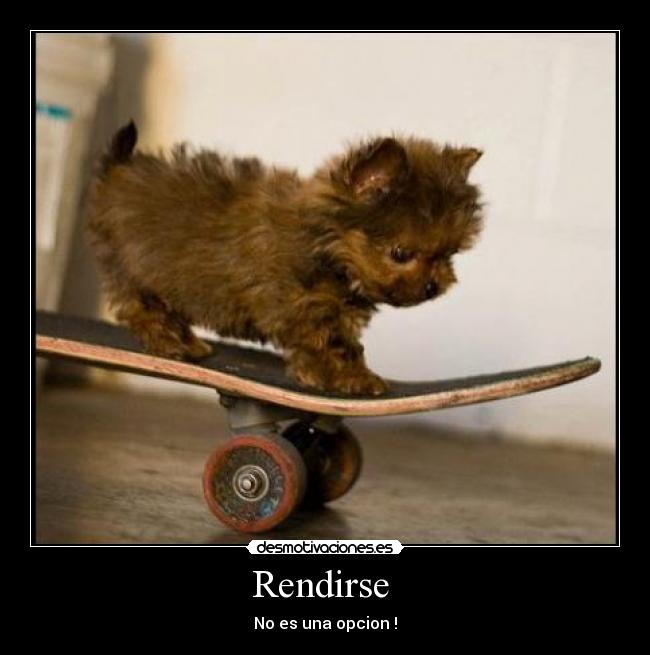 Rendirse  - 