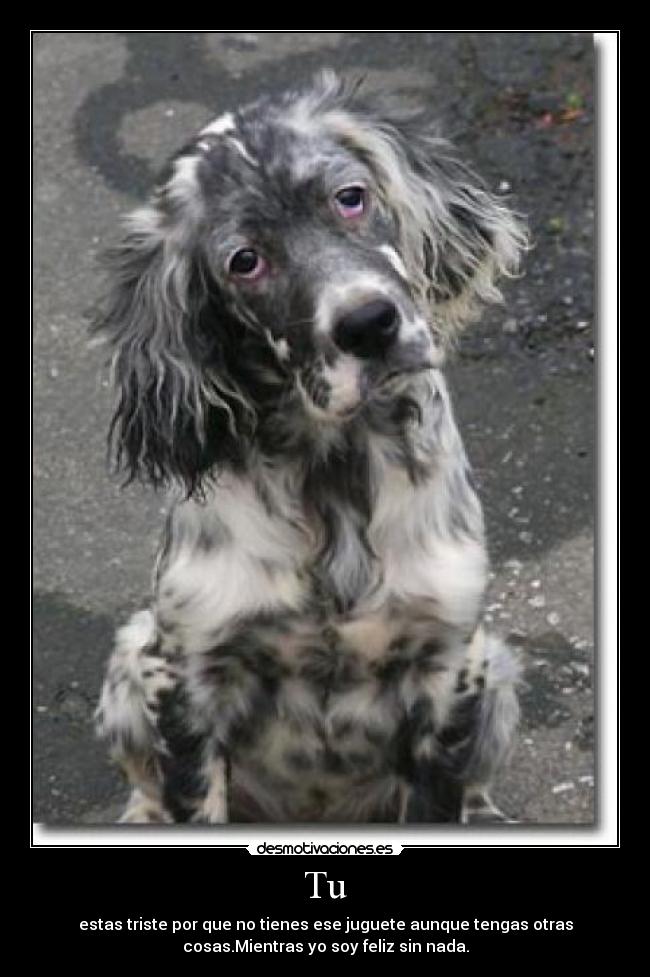 Tu - estas triste por que no tienes ese juguete aunque tengas otras
cosas.Mientras yo soy feliz sin nada.