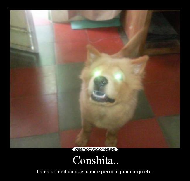 Conshita.. - 